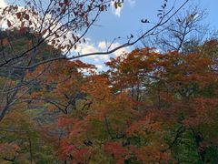 -丹东天桥沟景区