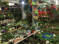 -无锡文化工艺品市场(槐古路店)