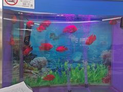 -雅悦齿科(顾村公园店)