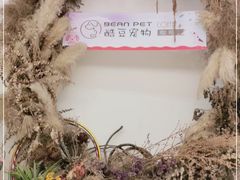 -酷豆宠物咖啡·宠物美食·撸猫馆