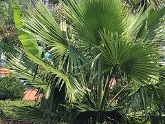 -平湖九龙山乐满地水上乐园