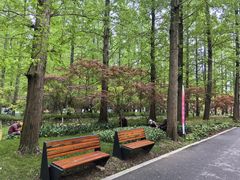 -东平国家森林公园