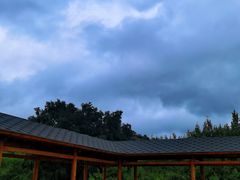 -御道口草原森林风景区