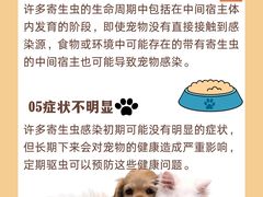 -美联众合动物医院·24h转诊中心
