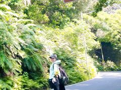 -广州市帽峰山景区