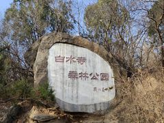 -白水寺森林公园