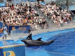 -海合安成都极地海洋公园