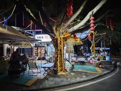 -风云岭森林公园
