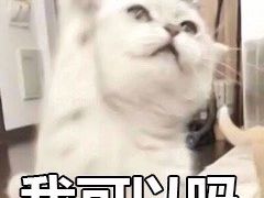 -嘉定紫藤园