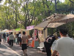 -昆山城市生态森林公园