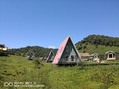 -关山草原