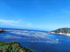-枸杞岛