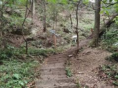-波尔登森林公园