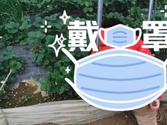 -皇藏峪国家森林公园