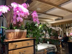 大堂-春暖花开(西溪店)