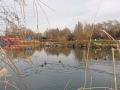 -万柳高尔夫俱乐部