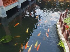 -香麒园·过桥米线·南湖雅宴