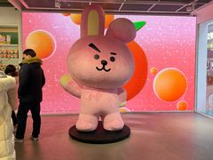 -line friends(明洞旗舰店)