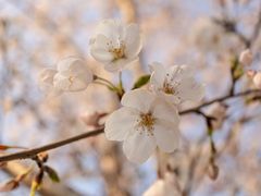 -苏州太湖国际会议中心