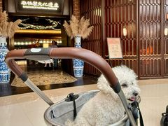 -奉天小馆·非遗东北菜(沈阳万象城店)