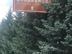 -塞罕坝国家级自然保护区