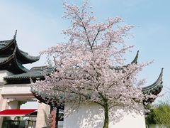 -苏州上方山国家森林公园