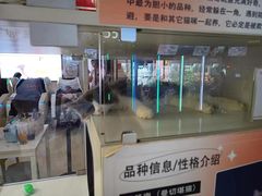 -万达影城(江桥万达广场IMAX店)