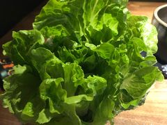 生菜-探牛东北烧烤·铁锅炖大鹅(深圳总店)