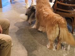 -自由生长植物工作室(深港花卉中心店)