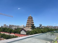 -西宁市人民公园(城西区)