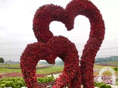 -紫颐香薰山谷景区