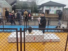 -太阳岛度假酒店