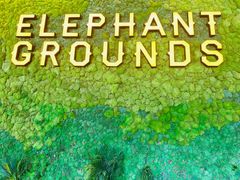 -大象园ELEPHANT GROUNDS(万象天地店)