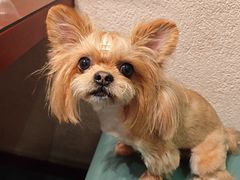 -王渔王得莫利炖鱼(群力店)