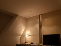 -上海柏悦酒店