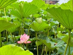-重元寺