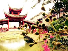 -龙潭水乡