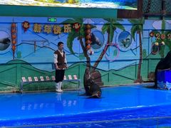 -石家庄极地海洋世界