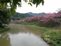 -森波拉奇妙世界