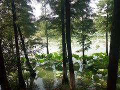 -艾溪湖湿地公园