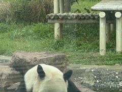 -苏州太湖国家湿地公园