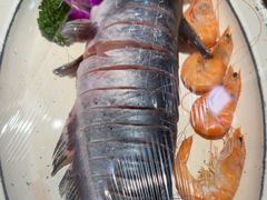 -津沽传奇(红桥水木天成店)