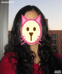 整体效果-钎赫造型