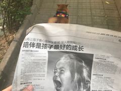 -纳吉亚猫专科动物诊疗中心(蒋宅口分院)