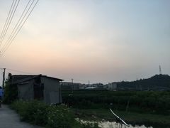 -蚝专家(北滘店)