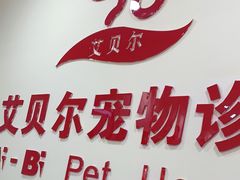 -艾贝尔宠物诊疗