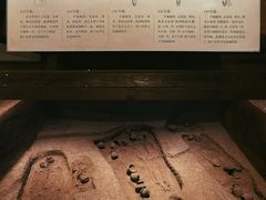 -上海崧泽遗址博物馆
