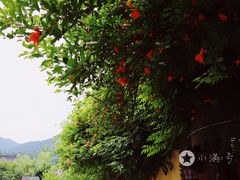 -杭州西湖风景名胜区-满觉陇四眼井