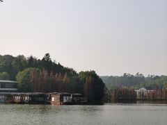 -三水森林公园
