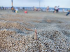 -东海岛旅游度假区